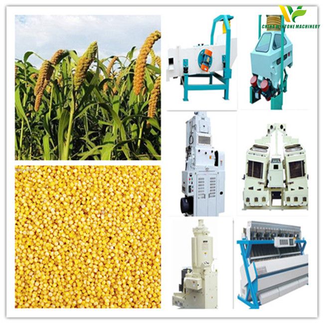 millet processing project